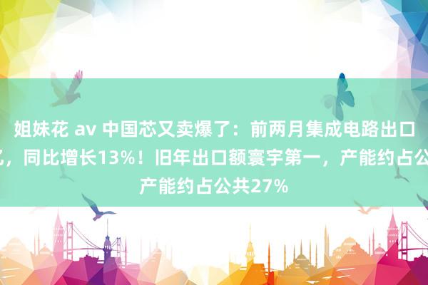 姐妹花 av 中国芯又卖爆了：前两月集成电路出口1804亿，同比增长13%！旧年出口额寰宇第一，产能约占公共27%