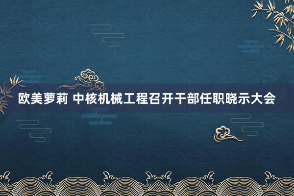 欧美萝莉 中核机械工程召开干部任职晓示大会