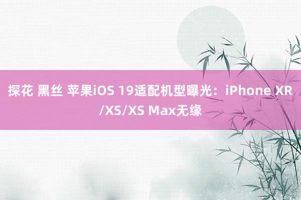 探花 黑丝 苹果iOS 19适配机型曝光：iPhone XR/XS/XS Max无缘