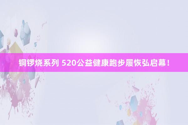铜锣烧系列 520公益健康跑步履恢弘启幕！