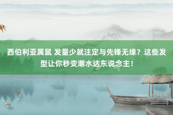 西伯利亚属鼠 发量少就注定与先锋无缘？这些发型让你秒变潮水达东说念主！