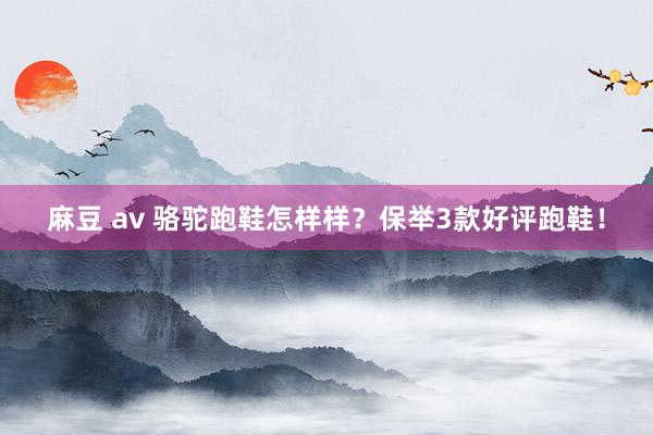 麻豆 av 骆驼跑鞋怎样样？保举3款好评跑鞋！