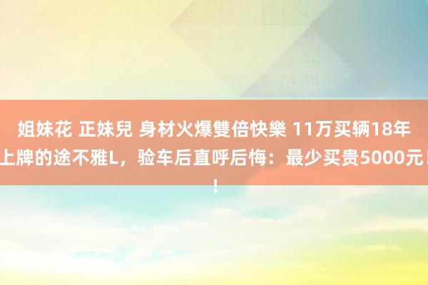 姐妹花 正妹兒 身材火爆雙倍快樂 11万买辆18年上牌的途不雅L，验车后直呼后悔：最少买贵5000元！