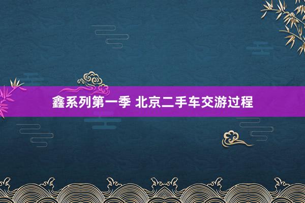 鑫系列第一季 北京二手车交游过程