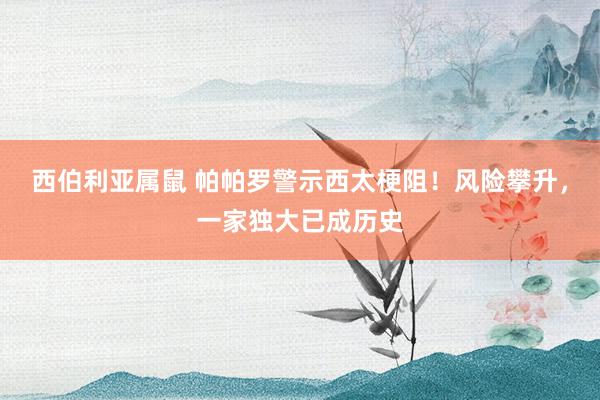 西伯利亚属鼠 帕帕罗警示西太梗阻！风险攀升，一家独大已成历史