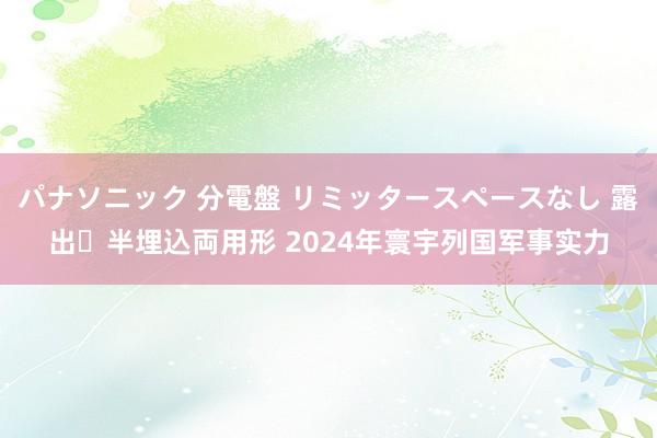 パナソニック 分電盤 リミッタースペースなし 露出・半埋込両用形 2024年寰宇列国军事实力