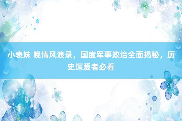 小表妹 晚清风浪录，国度军事政治全面揭秘，历史深爱者必看