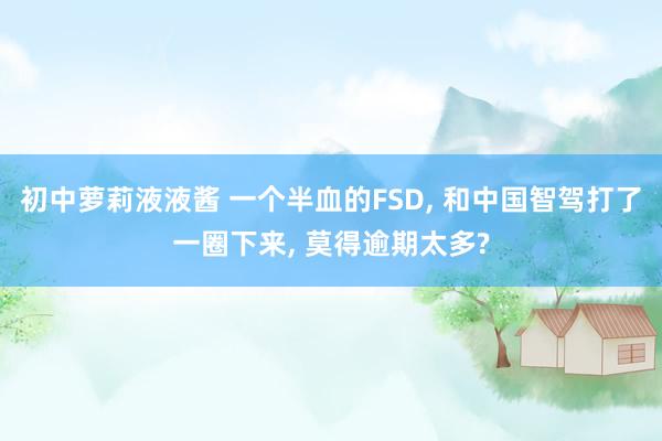 初中萝莉液液酱 一个半血的FSD， 和中国智驾打了一圈下来， 莫得逾期太多?