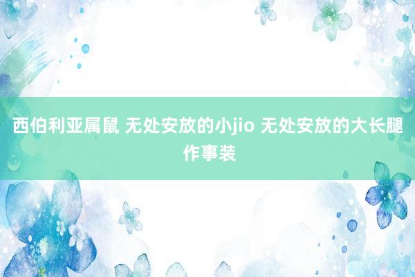 西伯利亚属鼠 无处安放的小jio 无处安放的大长腿 作事装