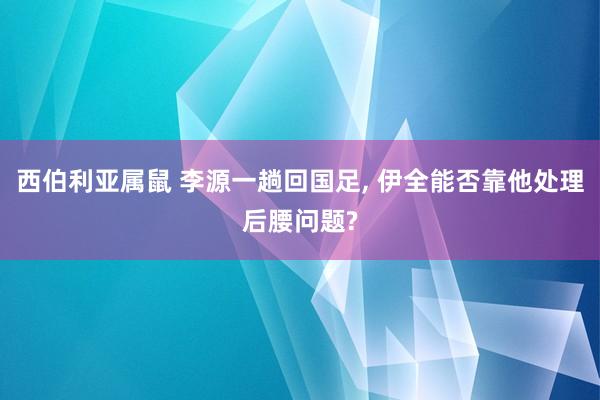 西伯利亚属鼠 李源一趟回国足， 伊全能否靠他处理后腰问题?