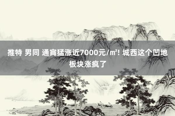 推特 男同 通宵猛涨近7000元/㎡! 城西这个凹地板块涨疯了