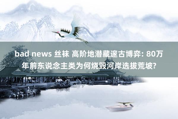 bad news 丝袜 高阶地潜藏邃古博弈: 80万年前东说念主类为何烧毁河岸选拔荒坡?