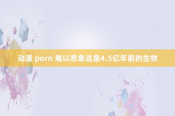动漫 porn 难以思象这是4.5亿年前的生物