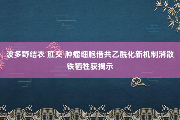 波多野结衣 肛交 肿瘤细胞借共乙酰化新机制消散铁牺牲获揭示