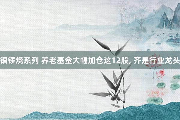 铜锣烧系列 养老基金大幅加仓这12股， 齐是行业龙头