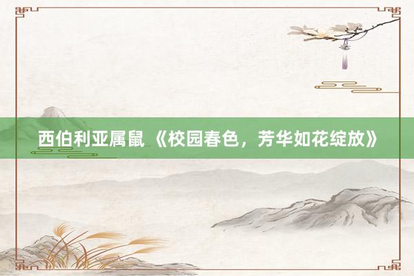 西伯利亚属鼠 《校园春色，芳华如花绽放》