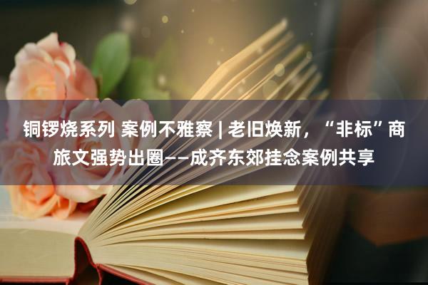 铜锣烧系列 案例不雅察 | 老旧焕新，“非标”商旅文强势出圈——成齐东郊挂念案例共享