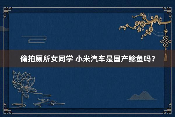 偷拍厕所女同学 小米汽车是国产鲶鱼吗？