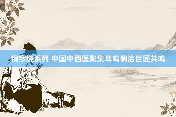 铜锣烧系列 中国中西医聚集耳鸣调治巨匠共鸣